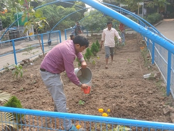 মিড ডে মিলের সবজি ফলবে স্কুলেই, পুষ্টিবাগান তৈরির কাজ শুরু হল বর্ধমানের স্কুলে