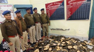 কয়েকশো জীবিত কচ্ছপ উদ্ধার করল আরপিএফ৷ কয়েকশো জীবিত কচ্ছপ উদ্ধার করল আরপিএফ৷