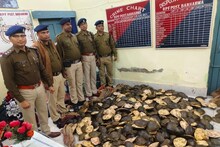 RPF: সন্দেহ হতেই ব্যাগ খোলাল আরপিএফ, উদ্ধার শয়ে শয়ে কচ্ছপ! গ্রেফতার একাধিক