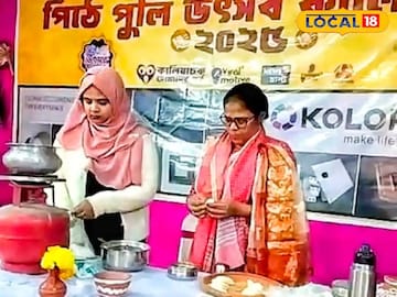 পিঠেপুলি