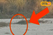 Jungle Safari: গরুমারায় জঙ্গল সাফারিতে বিরল দৃশ্য! সামনে হেঁটে গেল লেপার্ড, ঠান্ডা হয়ে এল পর্যটকদের শরীর, দেখুন