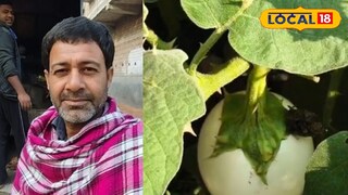 শাজাহান সেখ