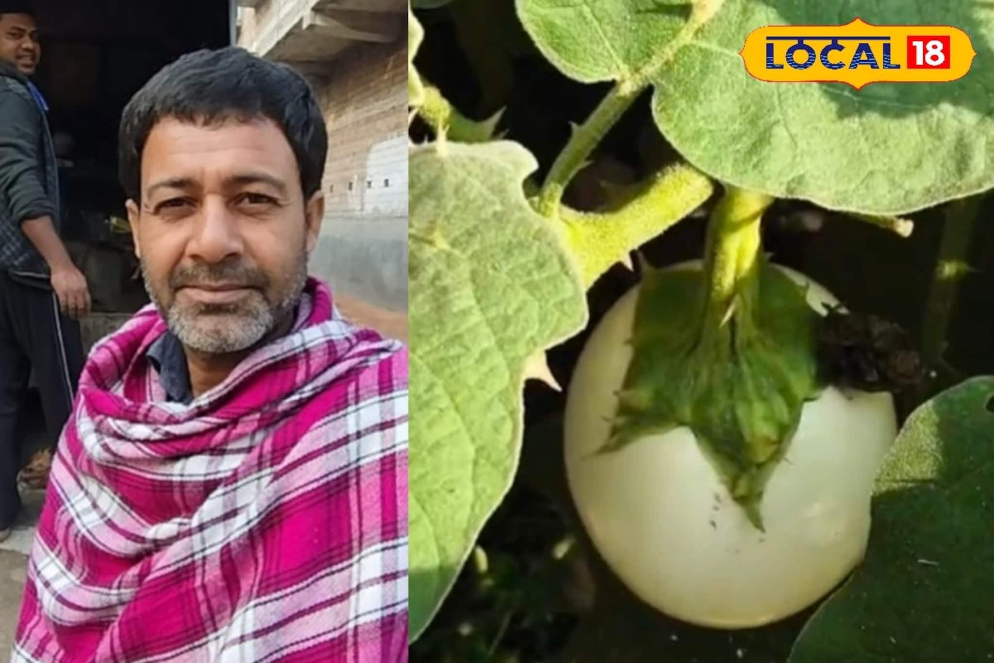 বেগুন তোলাকে কেন্দ্র করে পারিবারিক বিবাদ, ভাইপোর হাতে খু*ন জেঠু!