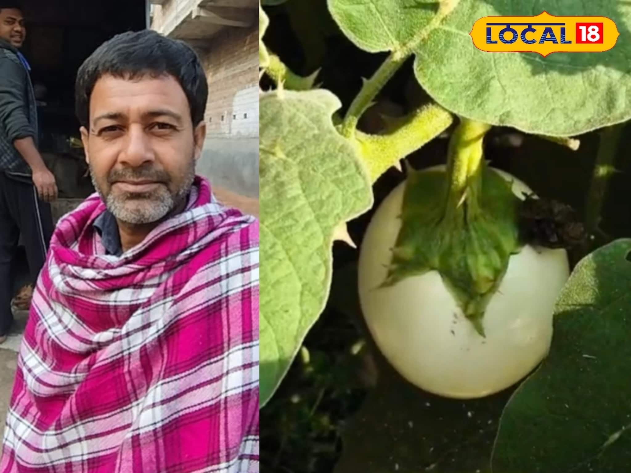 বেগুন তোলাকে কেন্দ্র করে পারিবারিক বিবাদ, ভাইপোর হাতে খু*ন জেঠু! বেগুন তোলাকে কেন্দ্র করে পারিবারিক বিবাদ, ভাইপোর হাতে খু*ন জেঠু!