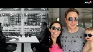 এলন মাস্ক