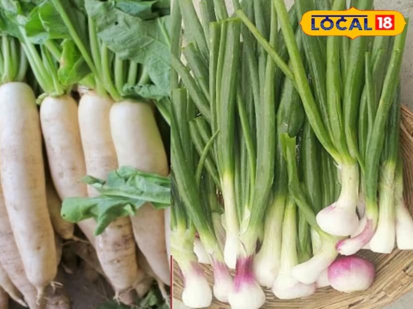 রান্নাঘরের বাগানে মুলো লাগানোর পর ৩৫ থেকে ৪০ দিনের মধ্যে পাতাগুলো সবজির জন্য ব্যবহার করা যেতে পারে। ফলন বাড়ানোর জন্য মুলোর উপর থেকে গজানো নতুন পাতাগুলি মাটিতে পুঁতে দিতে হবে। প্রতিটি সবজি বাগানে ব্যবহৃত সবুজ পেঁয়াজ রান্নাঘরের বাগানেও সহজেই চাষ করা যেতে পারে। রোপণের ৩৫ থেকে ৪০ দিনের মধ্যে এগুলি ফসল কাটার জন্য প্রস্তুত। যে সব পেঁয়াজ ইতিমধ্যেই অঙ্কুরিত হচ্ছে সেগুলো মাটিতে পুঁতে দিতে হবে। পাতাগুলি বৃদ্ধি পাবে এবং পরে ফুল ফুটবে এবং বীজ ফসল উৎপাদন করবে।