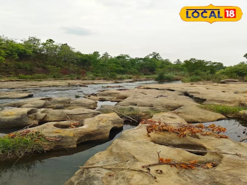 কোরবা এবং আশেপাশের এলাকার বাসিন্দাদের জন্য শীতকাল হল পিকনিক এবং ভ্রমণের পরিকল্পনা করার জন্য উপযুক্ত সময়। কেউ যদি এই শীতে দূরে ভ্রমণের চেয়ে শান্ত এবং মনোরম পরিবেশ উপভোগ করতে চায়, তাহলে কোরবা শহরের কাছে ডুমারদি পিকনিক স্পট একটি দুর্দান্ত বিকল্প হয়ে উঠবে। প্রাকৃতিক সৌন্দর্য এবং শান্ত পরিবেশের কারণে এই স্থানটি দ্রুত জনপ্রিয়তা অর্জন করছে।
