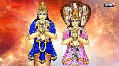 কেতুর গোচর আরও তাৎপর্যপূর্ণ হয়ে ওঠে। রাহুর মতো এটি একটি ছায়া গ্রহ এবং এটিকে একটি অশুভ গ্রহও হিসাবে বিবেচনা করা হয়। কেতু তাঁর দুর্বল অবস্থায় ব্যক্তির জন্য বিভিন্ন কষ্ট নিয়ে আসেন, অন্য দিকে, কেতু তাঁর উচ্চ অবস্থায় শারীরিক, মানসিক এবং আর্থিক দৃষ্টিকোণ থেকে শুভ ফলাফল প্রদান করেন। এই গ্রহের রাশিচক্র এবং নক্ষত্র উভয়ের পরিবর্তনই অত্যন্ত গুরুত্বপূর্ণ বলে বিবেচিত হয়, যা ১২টি রাশির উপর প্রভাব ফেলে।