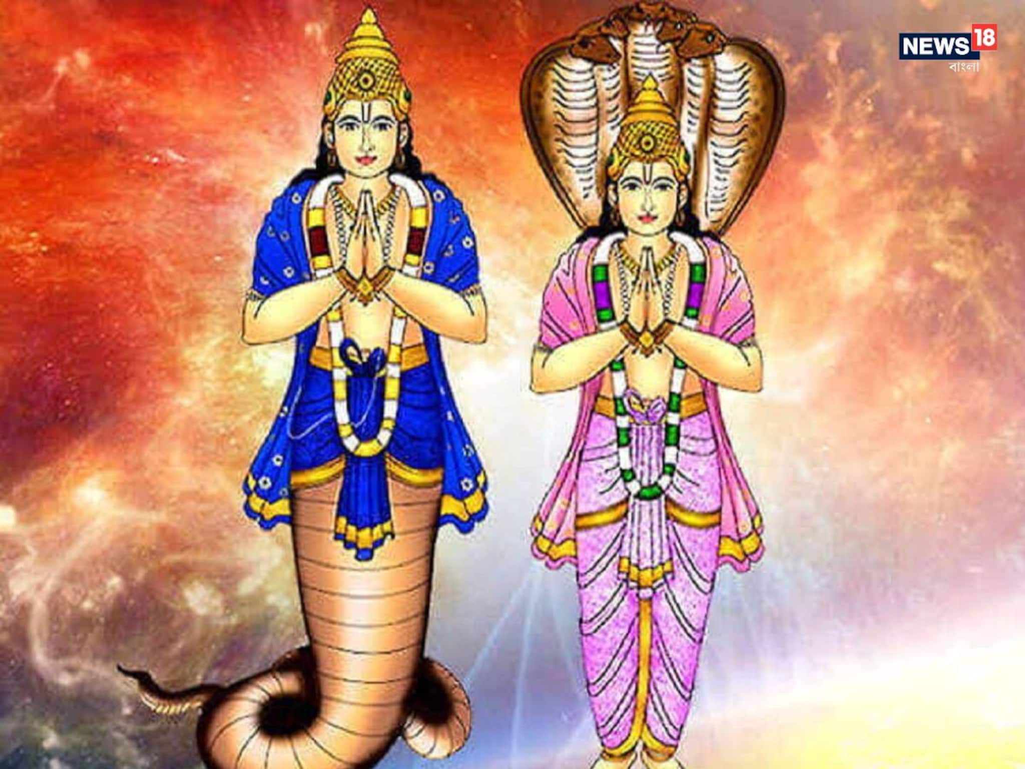 'মহাপ্রলয়' আসছে....! কেতুর গোচরে কাঁপবে দুনিয়া, ৩ রাশির জীবন সঙ্কটে, আর্থিক ক্ষতি কাঙাল