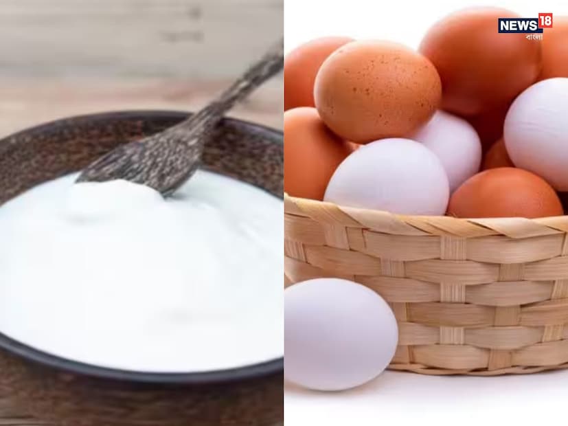 অন্যদিকে, দই চুলের জন্য এক অসাধারণ ময়েশ্চারাইজার। দইয়ের ল্যাকটিক অ্যাসিড, ভিটামিন B5 ও প্রোবায়োটিক মাথার ত্বককে শান্ত রাখে, খুশকি কমায় এবং স্ক্যাল্পের পিএইচ ব্যালান্স বজায় রাখে। দইয়ের হেয়ার মাস্ক নিয়মিত ব্যবহার করলে চুল থাকে নরম, উজ্জ্বল ও সহজে নিয়ন্ত্রণযোগ্য। বিশেষত শুষ্ক, খুশকি-প্রবণ বা চুলে বেশি ফ্রিজ থাকা ব্যক্তিদের জন্য দই অত্যন্ত উপকারী।