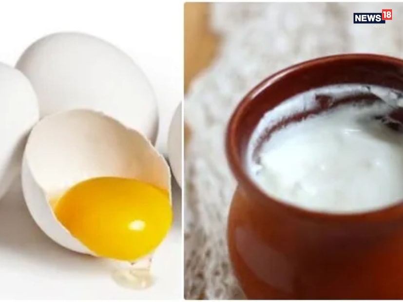 বিশেষজ্ঞদের পরামর্শ, চুলের অবস্থা অনুযায়ী ডিম ও দই—দুটির ব্যবহার পালা করে করাই শ্রেয়। যেদিন চুল দুর্বল বা ব্রেকেজ বেশি, সেদিন ডিমের প্রোটিন ট্রিটমেন্ট। আর যেদিন মাথার ত্বকে চুলকানি, শুষ্কতা বা খুশকি বেশি, সেদিন দইয়ের ময়েশ্চার মাস্ক।