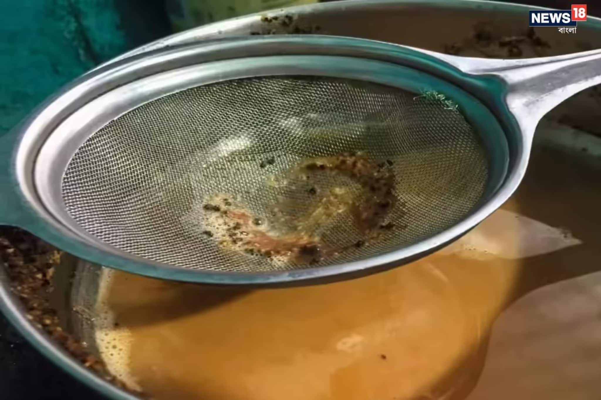 রান্নাঘরের ছোট এই ভুলে নষ্ট হয় চা ছাঁকনি! জানুন পরিষ্কারের সঠিক ঘরোয়া পদ্ধতি