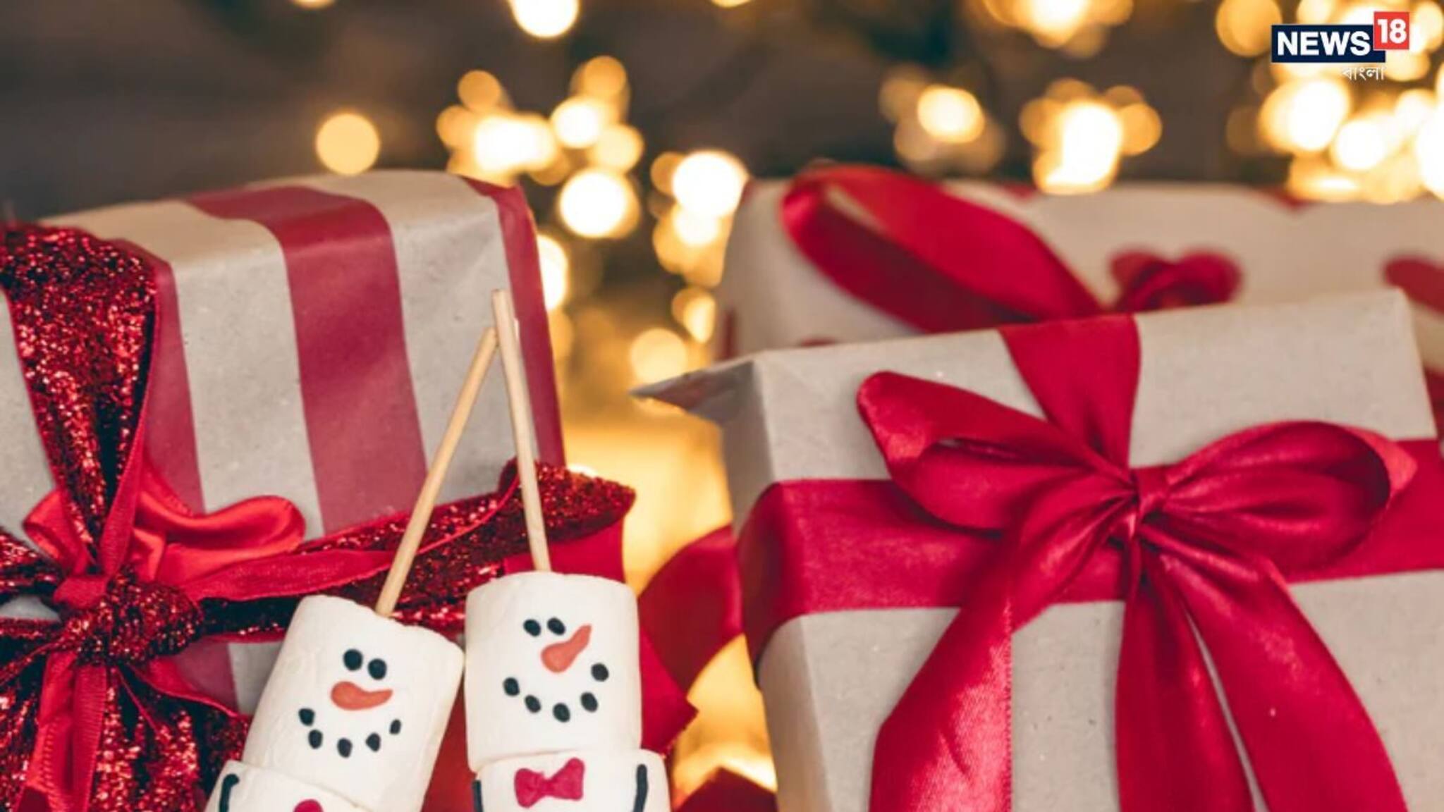 Christmas Gift: দিন যখন প্রযুক্তির, বড়দিনই বা বাদ কেন যায়, দেখে নিন সেরা টেক উপহার কী হতে পারে প্রিয়জনের জন্য