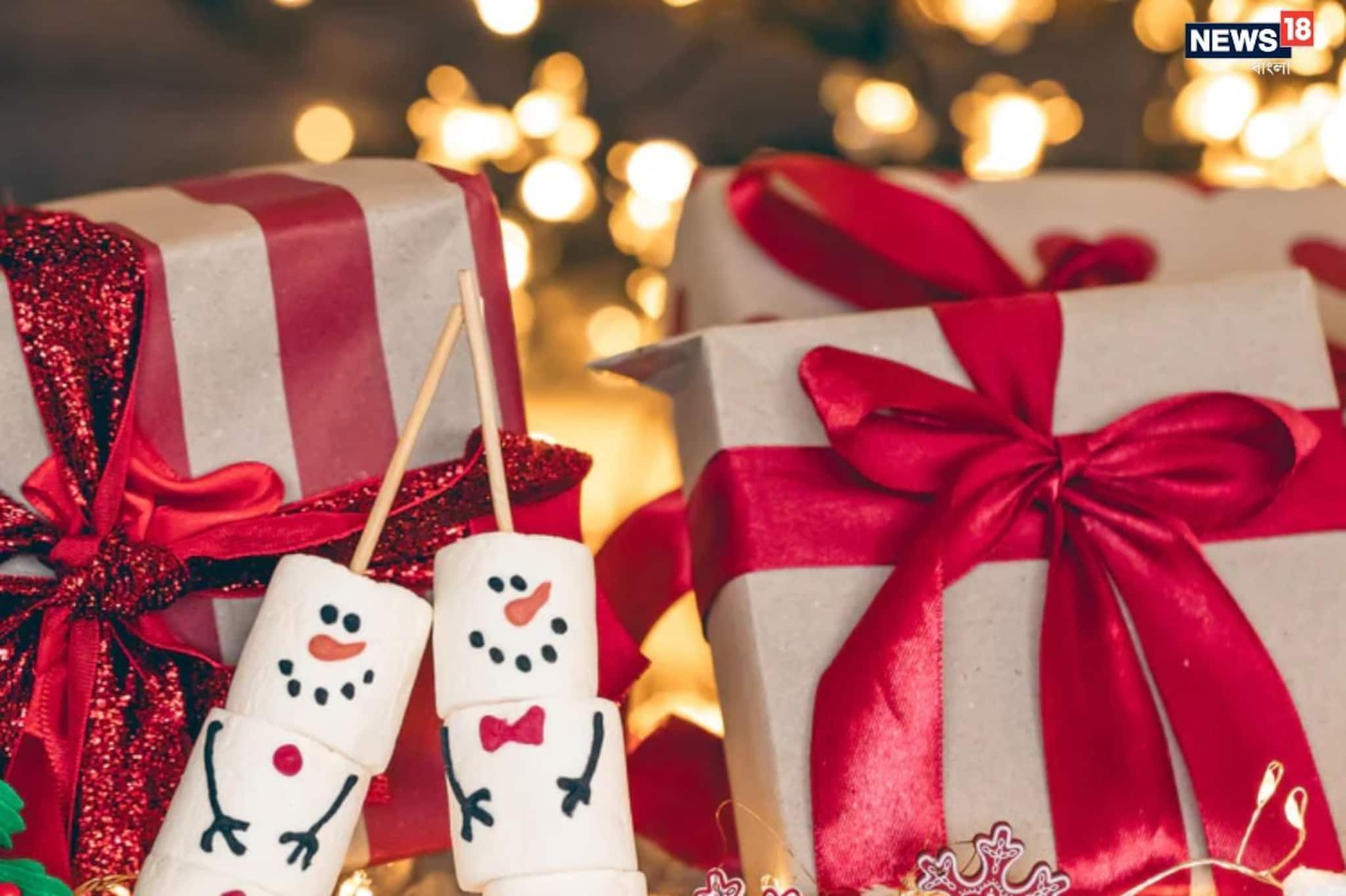 দিন যখন প্রযুক্তির, বড়দিনই বা বাদ কেন যায়, দেখে নিন সেরা টেক উপহার কী হতে পারে প্রিয়জনের