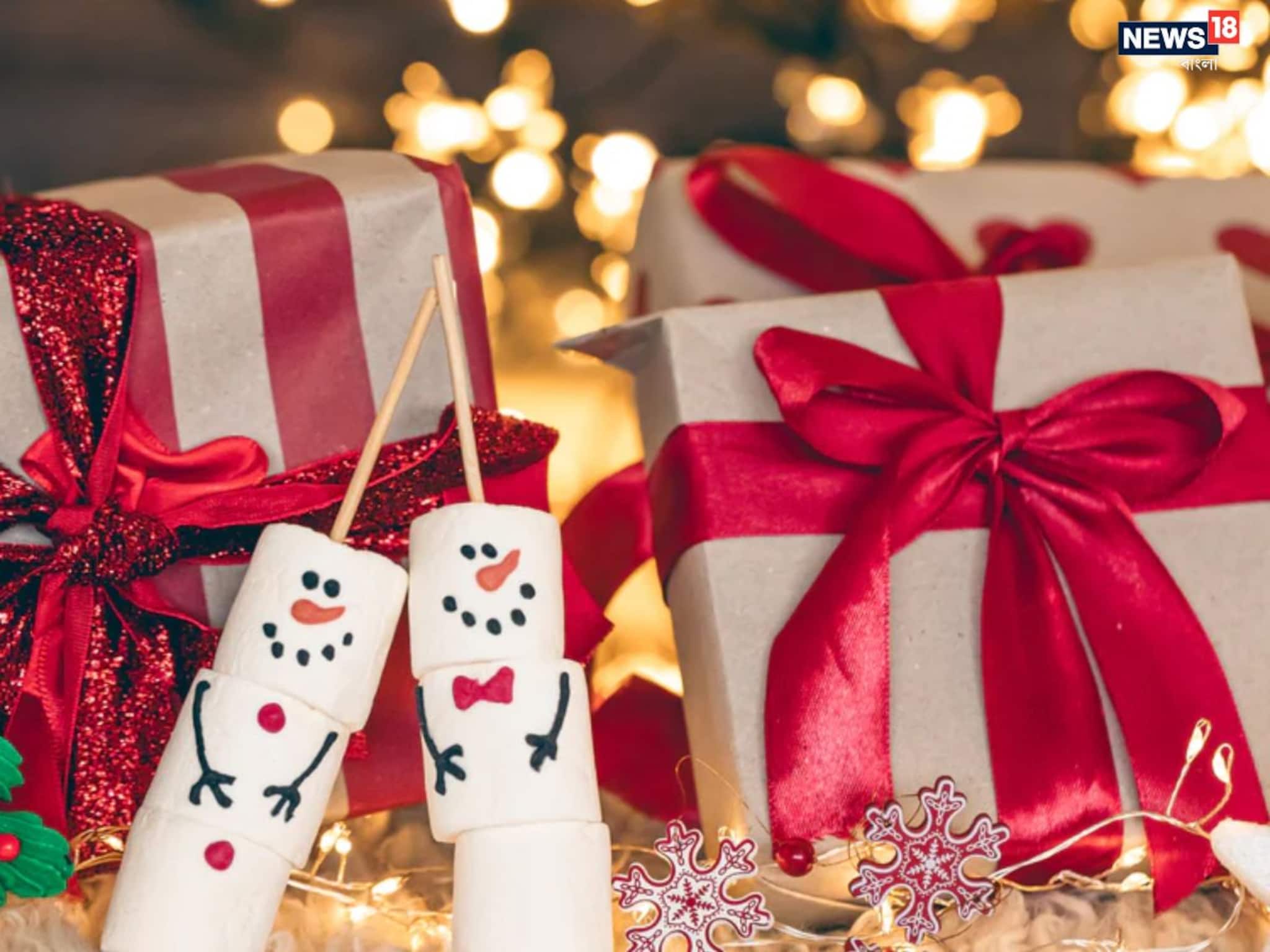 দিন যখন প্রযুক্তির, বড়দিনই বা বাদ কেন যায়, দেখে নিন সেরা টেক উপহার কী হতে পারে প্রিয়জনের