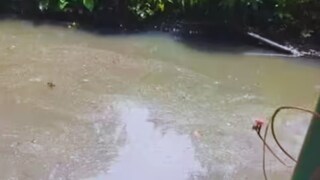 খালে ঠেলে ফেলে দেয় বাবা, ১ মাস পর জীবিত ফিরল মেয়ে! হত্যাকারী বাবাকে ছেড়ে দেওয়ার আর্জি, কেন? পঞ্জাবের ঘটনা শুনলে গায়ে কাঁটা দেবে