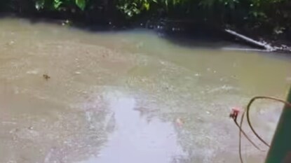 খালে ঠেলে ফেলে দেয় বাবা, ১ মাস পর জীবিত ফিরল মেয়ে! হত্যাকারী বাবাকে ছেড়ে দেওয়ার আর্জি, কেন? পঞ্জাবের ঘটনা শুনলে গায়ে কাঁটা দেবে খালে ঠেলে ফেলে দেয় বাবা, ১ মাস পর জীবিত ফিরল মেয়ে! হত্যাকারী বাবাকে ছেড়ে দেওয়ার আর্জি, কেন? পঞ্জাবের ঘটনা শুনলে গায়ে কাঁটা দেবে