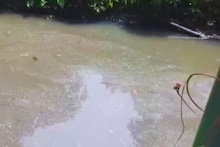 খালে ঠেলে ফেলে দেয় বাবা, ১ মাস পর জীবিত ফিরল মেয়ে! হত্যাকারী বাবাকে ছেড়ে দেওয়ার আর্জি, কেন? পঞ্জাবের ঘটনা শুনলে গায়ে কাঁটা দেবে