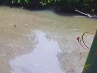 খালে ঠেলে ফেলে দেয় বাবা, ১ মাস পর জীবিত ফিরল মেয়ে! হত্যাকারী বাবাকে ছেড়ে দেওয়ার আর্জি, কেন? পঞ্জাবের ঘটনা শুনলে গায়ে কাঁটা দেবে