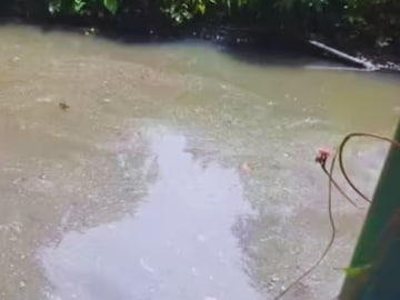 খালে ঠেলে ফেলে দেয় বাবা, ১ মাস পর জীবিত ফিরল মেয়ে! হত্যাকারী বাবাকে ছেড়ে দেওয়ার আর্জি, কেন? পঞ্জাবের ঘটনা শুনলে গায়ে কাঁটা দেবে