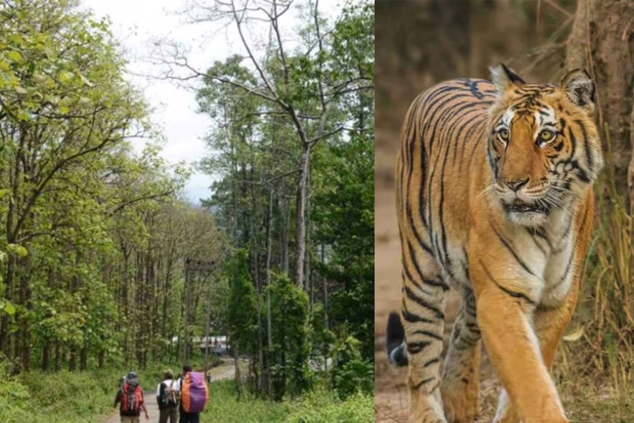 ২৫ ডিসেম্বর, ১ জানুয়ারি কি খোলা থাকবে জলদাপাড়া ও বক্সা টাইগার রিজার্ভ? বড় ঘোষণা