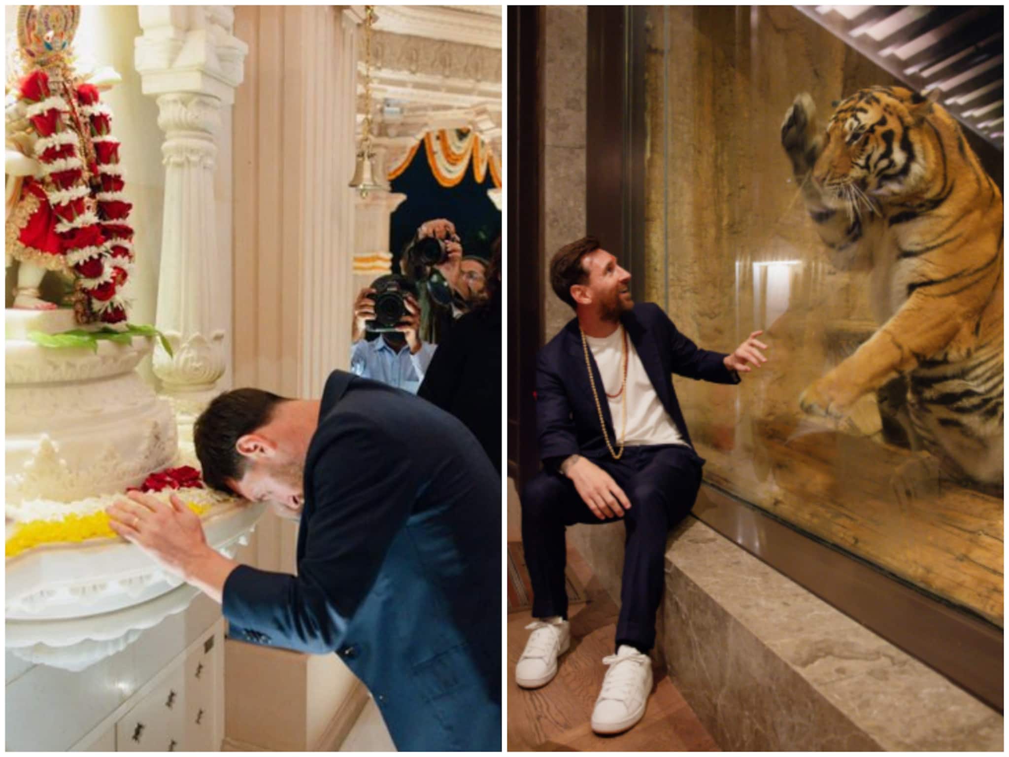 ভারতীয় সংস্কৃতিকে নিলেন আপন করে, বনতারায় বন্যপ্রাণের সঙ্গে অন্য মেজাজে মেসি ভারতীয় সংস্কৃতিকে নিলেন আপন করে, বনতারায় বন্যপ্রাণের সঙ্গে অন্য মেজাজে মেসি