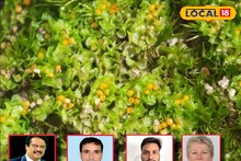 West Medinipur News: জীববৈচিত্র্যের মানচিত্রে পশ্চিমবঙ্গের নাম উজ্জ্বল! মেদিনীপুরের জঙ্গলে বিশেষ প্রজাতির উদ্ভিদের খোঁজ, বাংলার নামে নামকরণ