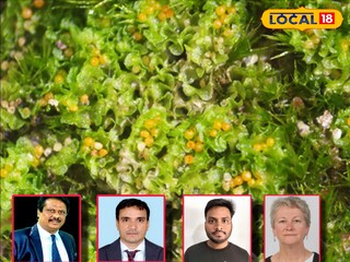 মেদিনীপুরের ভাদুতলার জঙ্গলে মিলল নতুন উদ্ভিদ প্রজাতির খোঁজ