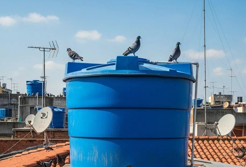 সারাদিন সূর্যালোকের সংস্পর্শে থাকার কারণে ট্যাঙ্কটি ধীরে ধীরে গরম হয়। এর জন্য কোনও বিদ্যুৎ, বাইরের সাহায্য বা অন্যান্য খরচের প্রয়োজন হয় না। যদি ছাদে ভাল রোদ আসে, তাহলে ট্যাঙ্কটি এমন দিকে রাখতে হবে যেখানে সবচেয়ে বেশি রোদ আসে। সূর্যের প্রাকৃতিক তাপ জলের তাপমাত্রা উল্লেখযোগ্যভাবে বাড়িয়ে দেবে, যার ফলে সকালে স্নান সহজ হবে। দিনের বেলা তাপ বেরিয়ে যাওয়া রোধ করতে রাতে ট্যাঙ্কটি কাপড় বা কম্বল দিয়ে ঢেকে রাখতে ভোলা উচিত নয়। এই পদ্ধতিটি নতুন বা ব্যয়বহুল নয়, তবে এটি ১০০% কার্যকর। (Disclaimer: প্রতিবেদনের লেখা তথ্য News18 বাংলার নিজস্ব মত নয় ৷ সঠিক ফল পাওয়ার জন্য বিশেষজ্ঞের সঙ্গে যোগাযোগ করুন ৷)