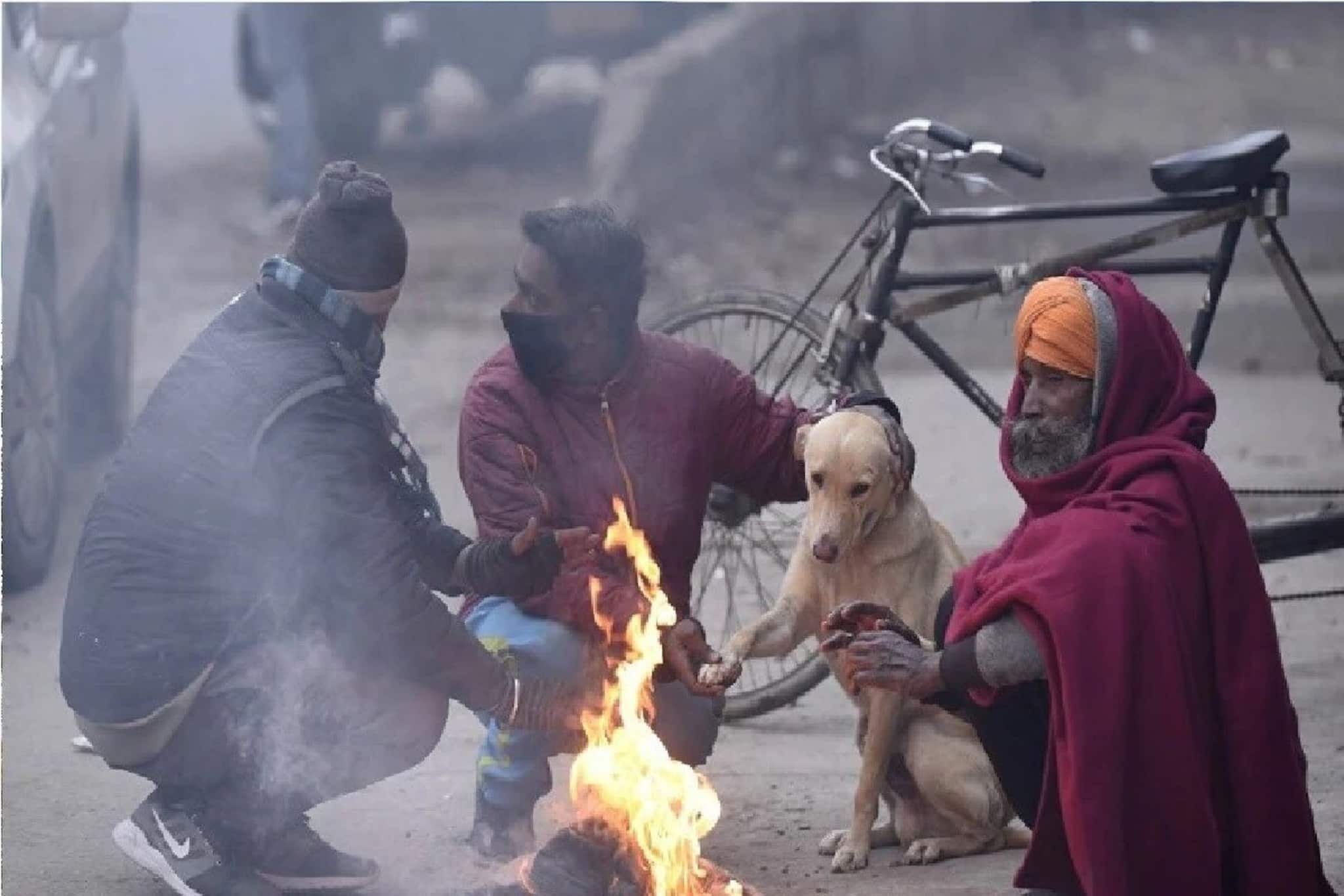 ৭ ডিগ্রিতে নেমেছে পারদ! কলকাতার তাপমাত্রা ১১ ডিগ্রির ঘরে, নতুন বছরের প্রথমদিনে আরও ঠান্ডা?