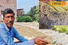 Business Idea: নদীর চরে জন্মানো আগাছা দিয়ে দুর্দান্ত বিজনেস আইডিয়া! বিদেশে ব্যাপক চাহিদা, আগাছা থেকেই অঢেল আয়