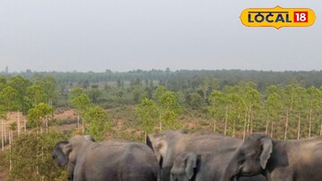 চন্দ্রকোনার