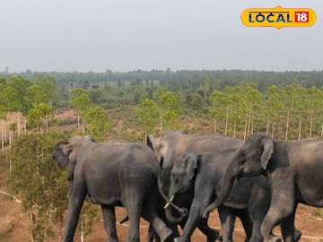 চন্দ্রকোনার