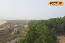 West Medinipur News: মেদিনীপুরের 'সবুজ নায়ক'! ১০০ একর জায়গায় লাগানো গাছ বাঁচিয়েছে বহু মানুষের প্রাণ, ঘুরতে গেলে মিস করবেন না এই 'হিরো বনাঞ্চল'