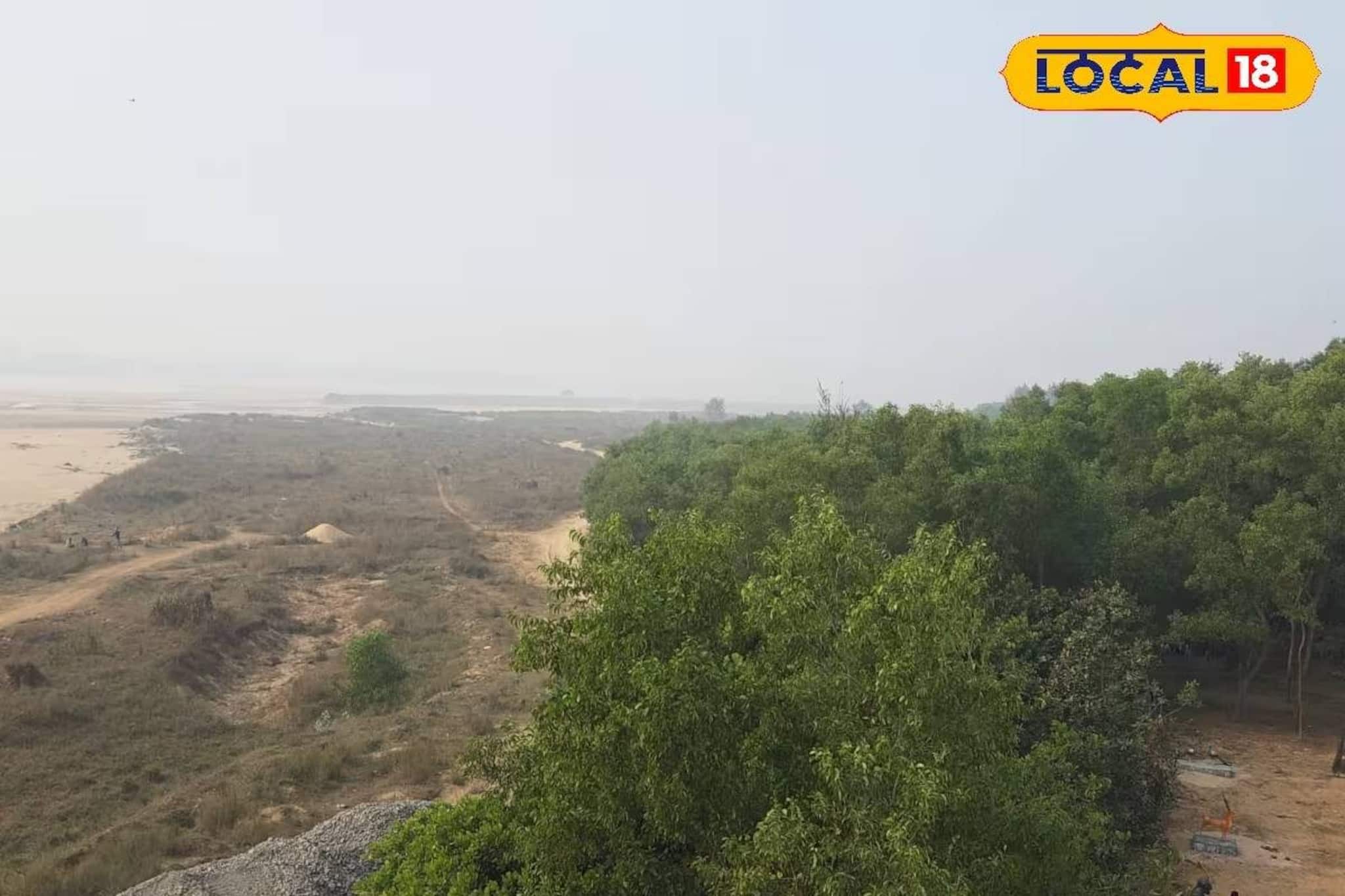 মেদিনীপুরের 'সবুজ নায়ক'! এই বনাঞ্চল বাঁচিয়েছে বহু মানুষের প্রাণ