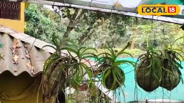 কোকেডামা