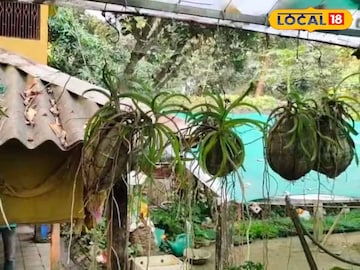 কোকেডামা