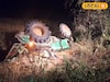 রাতে মাঠের কাজ সেরে বাড়ি ফেরার পথে বিপত্তি! ট্রাক্টর উলটে চাপা পড়ে ২ শ্রমিকের মৃত্যু