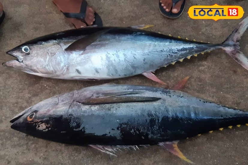 তাঁর কথায়, 