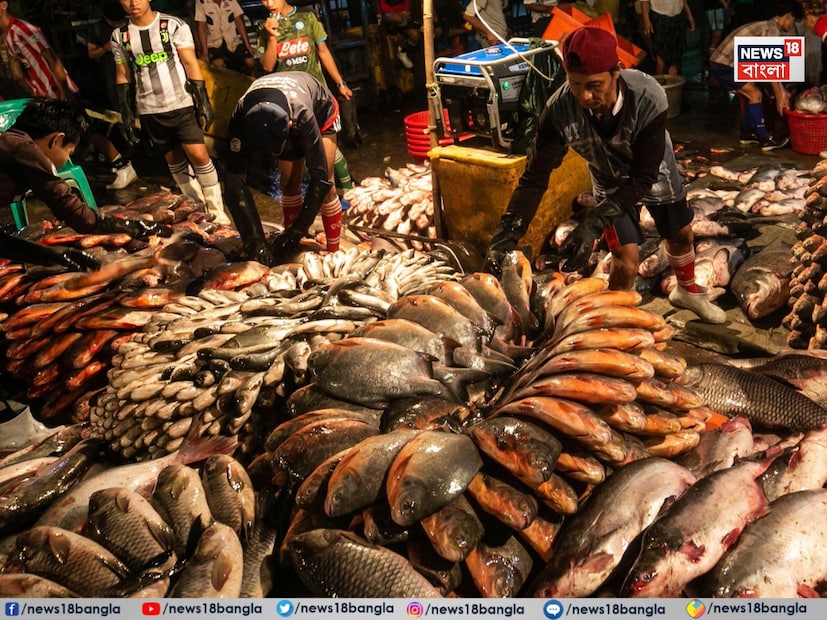 মাছকে শীতের সবচেয়ে উপযুক্ত খাদ্য হিসেবে বিবেচনা করা হয়। ওমেগা-৩ ফ্যাটি অ্যাসিড, ভিটামিন ডি এবং উচ্চমানের প্রোটিন সমৃদ্ধ মাছ শরীরের রোগ প্রতিরোধ ক্ষমতা বাড়ায়।