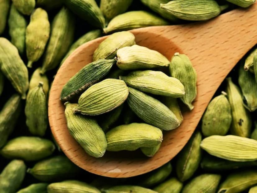 এলাচ রাতে দুধে ফুটিয়ে মধুর সঙ্গে পান করলে যৌন ও যৌনরোগ থেকে মুক্তি পাওয়া যায়। এলাচে প্রদাহ-বিরোধী বৈশিষ্ট্য রয়েছে যা ক্যানসারের মতো গুরুতর রোগের বিরুদ্ধে লড়াই করতে সাহায্য করে। এটি মুখ এবং ত্বকের ক্যানসার প্রতিরোধেও কার্যকর। এটি ম্যাগনেসিয়াম এবং পটাসিয়াম সমৃদ্ধ, যা স্বাভাবিক রক্ত সঞ্চালন বজায় রাখতে সাহায্য করে এবং রক্তচাপ নিয়ন্ত্রণে রাখে। বলছেন পুষ্টিবিদ অবনী কৌল।