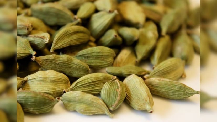 সর্দি, কাশি এবং গলা ব্যথার জন্য সবুজ এলাচ খুবই উপকারী। রাতে হালকা গরম জলের সাথে এটি চিবিয়ে খেলে আরাম পাওয়া যায়। নিয়মিত এলাচ খেলে পেটের আলসারও কমে।