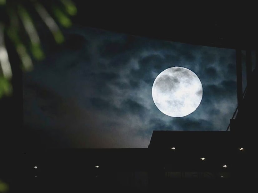  আপনার টেলিস্কোপ বা দূরবীনের প্রয়োজন নেই; পরিষ্কার আকাশ এবং পূর্ব দিকে অন্ধকার, বাধাহীন দৃশ্য সবচেয়ে গুরুত্বপূর্ণ। নগরবাসী এখনও সহজেই সুপারমুন দেখতে পাবেন৷ কারণ এটি আলোক দূষণের মধ্য দিয়ে যাওয়ার পরও যথেষ্ট উজ্জ্বল দেখাবে৷ তবে দূষণহীন পরিবেশে এই পূর্ণিমার সৌন্দর্য আরও অপরূপ তারাময় রাতে৷