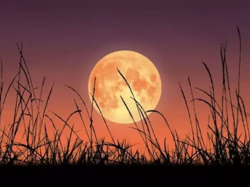 যেহেতু এই পূর্ণিমা উত্তর গোলার্ধে শীতকালীন অয়নকালের কাছাকাছি ঘটে, তাই এটি অন্যান্য পূর্ণিমার তুলনায় আকাশে আরও উপরে উঠে যায়, বেশি সময় ধরে দৃশ্যমান থাকে, যে কারণে এটিকে চিরকালীন ঠান্ডা বা দীর্ঘ রাতের চাঁদ বলা হয়।