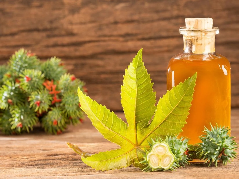 ডাঃ রাসবিহারী তিওয়ারি ব্যাখ্যা করেন যে ক্যাস্টর অয়েলের প্রাকৃতিক রেচক বৈশিষ্ট্য অন্ত্রের গতিবিধি সক্রিয় করে এবং কোষ্ঠকাঠিন্য থেকে তাৎক্ষণিক উপশম দেয়। তিনি বলেন, 