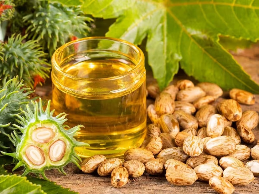 ক্যাস্টর অয়েলের স্বাদ ভাল নয়, তাই আমি এটি চা, গরম জল, দুধ বা অন্য কোনও পানীয়ের সঙ্গে খেতে পারি। যদি আমার পেটের তাপ এবং গ্যাসের সমস্যা থাকে, তাহলে আমি আমার নাভি এবং পেটে সামান্য উষ্ণ ক্যাস্টর অয়েল লাগাব। এটি পেটে জমে থাকা গ্যাস সহজেই বের করে দিতে সাহায্য করে এবং তাপ শান্ত করে।