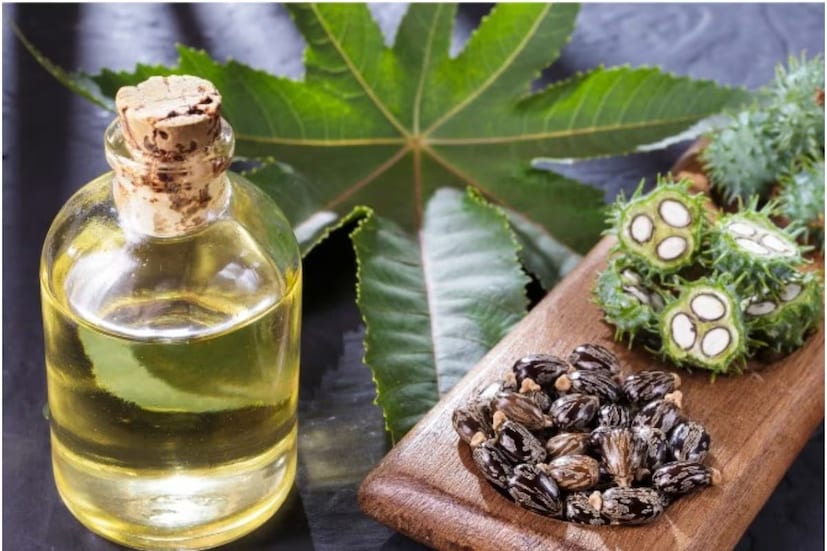 ডাঃ রাসবিহারী তিওয়ারি বলেন যে ‘‘যদি আমি খাবারের পরে পেট ফাঁপা, ভারী হওয়া, ঢেকুর না ওঠা বা জ্বালাপোড়ার মতো সমস্যায় ভুগি, তাহলে আমি এই তেল দিয়ে ম্যাসাজ করব। এটি করলে পেটের পেশী শিথিল হয় এবং হজমশক্তি উন্নত হয়। এটি কোষ্ঠকাঠিন্য এবং পেটের তাপের জন্যও খুবই উপকারী।’’