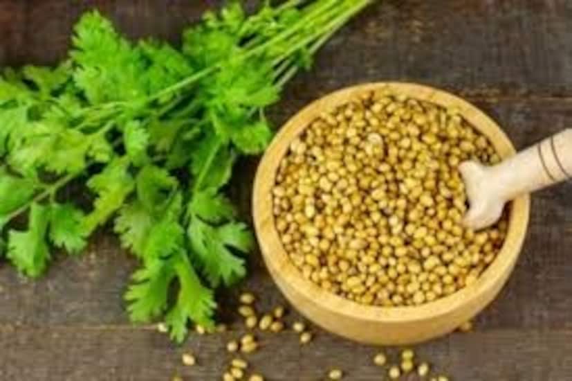 যারা ধনেপাতা বেশি দিন সংরক্ষণ করতে চান তারা ফ্রিজার পদ্ধতি ব্যবহার করতে পারেন। ধনেপাতা ভাল করে কেটে ছোট ছোট বায়ুরোধী থলিতে ভরে ফ্রিজে সংরক্ষণ করুন। এতে এর সুগন্ধ এবং রঙ উভয়ই সংরক্ষণ করা হয় এবং এটি ১-২ মাস ধরে ব্যবহারযোগ্য থাকে। শীতকালে এটি সবচেয়ে সহজ এবং নির্ভরযোগ্য পদ্ধতি বলে মনে করা হয়।