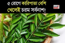 Curry Leaves Side Effects: ব্লাড সুগার, হাই ব্লাড প্রেশার...৫ জন ভুলেও কারিপাতা বেশি খাবেন না! চরম সর্বনাশ! ঝাঁঝরা শরীর!