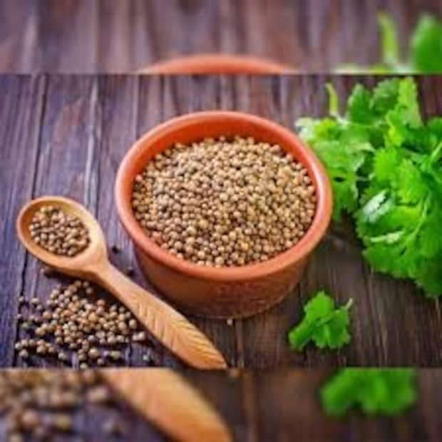 আয়ুর্বেদিক হাসপাতাল শিবগড়ের ভারপ্রাপ্ত মেডিক্যাল অফিসার ডাঃ স্মিতা শ্রীবাস্তব (বিএএমএস, লখনউ বিশ্ববিদ্যালয়), আয়ুষ চিকিৎসা ক্ষেত্রে ১০ বছরের অভিজ্ঞতা সম্পন্ন, ব্যাখ্যা করেন যে ধনেপাতা রান্নাঘরে ব্যবহৃত একটি মশলা, যা কেবল খাবারের স্বাদই বাড়ায় না বরং আমাদের স্বাস্থ্যের জন্যও অত্যন্ত উপকারী। বিশেষ করে এর বীজের জল খাওয়া আমাদের শরীরকে অনেক গুরুতর রোগ থেকে রক্ষা করার জন্য একটি ঔষধ হিসেবে কাজ করে, কারণ এতে প্রচুর পরিমাণে অ্যান্টিঅক্সিডেন্ট এবং প্রদাহ-বিরোধী বৈশিষ্ট্য রয়েছে। এর শীতল প্রভাব রয়েছে।